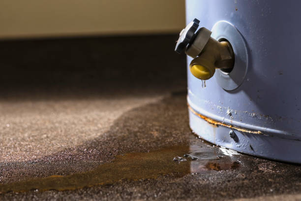 Best Local water damage restoration  in St Augustine Beach, FL