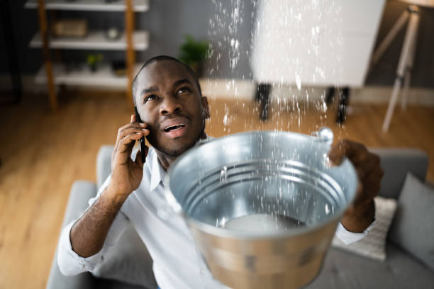 Best Professional water damage repair  in St Augustine Beach, FL