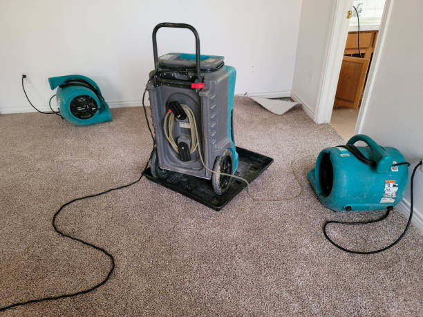 Best Residential water damage restoration  in St Augustine Beach, FL