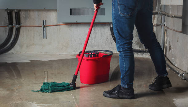 Best Professional water damage repair  in St Augustine Beach, FL