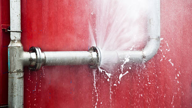 Best Water damage restoration services  in St Augustine Beach, FL