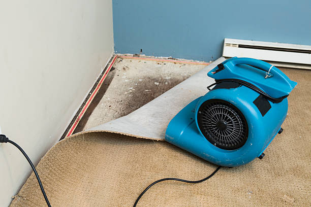 Best 24-hour water damage restoration  in St Augustine Beach, FL